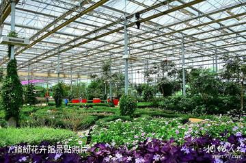 西安灃東現代都市農業博覽園-繽紛花卉館照片