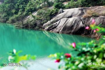 潮州紫莲森林度假景区-双豚戏水照片