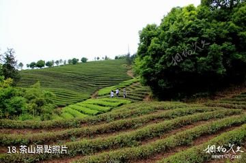 金華石鵝岩-茶山照片