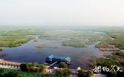 河南黃河濕地國家級自然保護區旅遊攻略之濕地資源