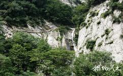 陕西太平国家森林公园旅游攻略之公园