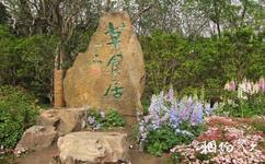 扬州茱萸湾公园旅游攻略之动物散养观赏区