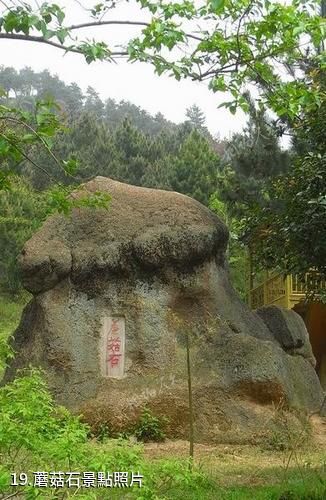 安慶大龍山景區-蘑菇石照片