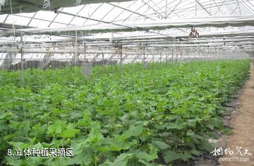 天津名洋湖都市庄园-立体种植采摘区照片