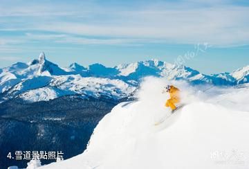加拿大惠斯勒滑雪場-雪道照片