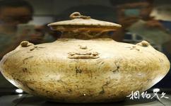 南京六朝博物館旅遊攻略之釉下彩羽人紋盤口壺