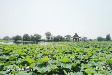 蕪湖陶辛水韻景區-香島湖照片