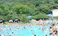廣東中山卓旗山莊旅遊攻略之山水泳池