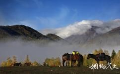 新疆禾木鄉旅遊攻略之雲海