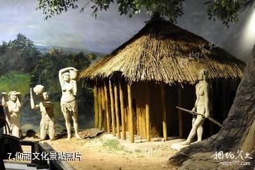 三門峽澠池仰韶文化博物館-仰韶文化照片