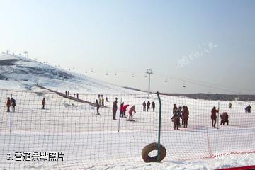 青島金山滑雪場-雪道照片