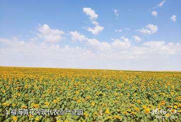 福海黄花沟现代农业产业园照片