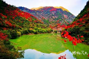 陕西宝鸡凤县双石铺旅游景点大全