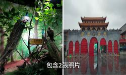 漯河金鳳凰鳥文化樂園驢友相冊