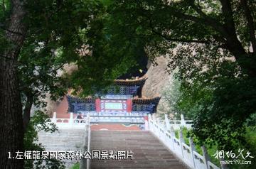 左權龍泉國家森林公園照片