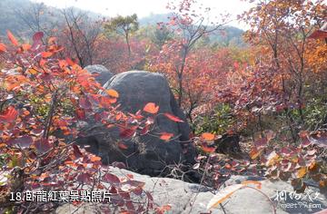 滎陽環翠峪風景區-卧龍紅葉照片