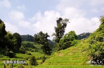 高安華林寨上游湖風景區-華林照片