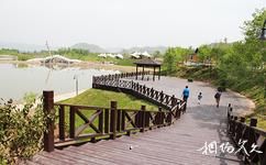 北京龍灣國際露營公園旅遊攻略之棧道