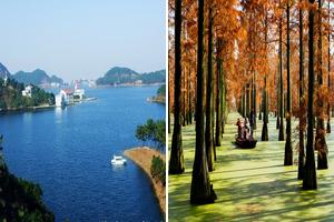 湖北武汉新洲旅游攻略-道观河风景旅游管理处景点排行榜