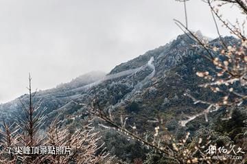 龍岩梅花山中國虎園-尖峰頂照片