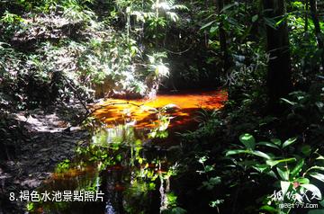 馬來西亞姆祿國家公園-褐色水池照片