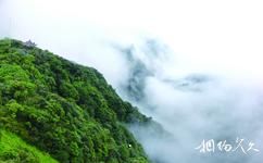 广西大明山国家级自然保护区旅游攻略之飞鹰峰