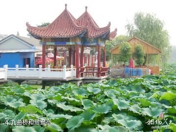 仙桃沔城旅游区-九曲桥和鸳鸯亭照片