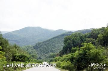 吉林天佛指山国家级自然保护区照片