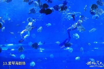 重庆汉海海洋公园-爱琴海剧场照片