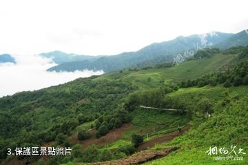 臨滄永德大雪山-保護區照片