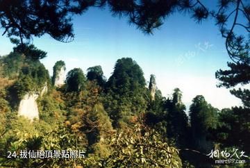 漢中天台森林公園-拔仙絕頂照片