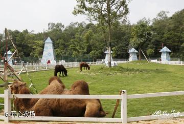 揭阳广东望天湖生态旅游度假区-开心农场照片