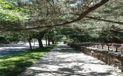 美国耶鲁大学校园概况之最美丽的小路
