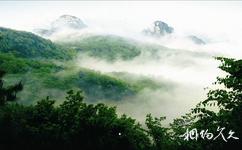 臨沂蒙山旅遊攻略之雲蒙峰