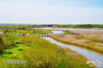 上海東灘濕地公園-濕地照片