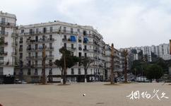 阿尔及利亚阿尔及尔市旅游攻略之迪都什大街