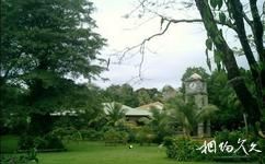 斐济苏瓦旅游攻略之瑟斯顿花园