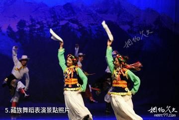 迪慶州民族服飾旅遊展演中心-藏族舞蹈表演照片