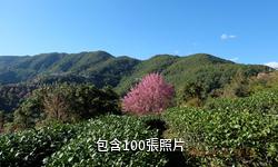 雲南無量山國家級自然保護區驢友相冊