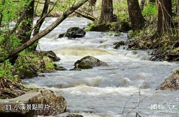 大亮子河國家森林公園-小溪照片