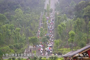 重慶白市驛森林公園-登山健身主步道照片
