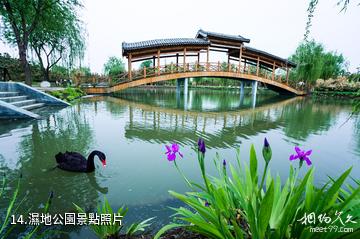 臨沂蘭陵國家農業公園-濕地公園照片