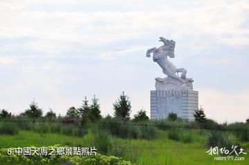伊犁昭蘇西域天馬文化園-中國天馬之鄉照片