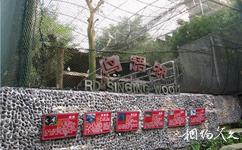 重慶市鱷魚中心旅遊攻略之鳥語林
