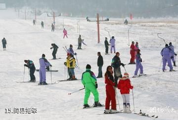 内蒙古阿尔山滑雪场-简易拖牵照片