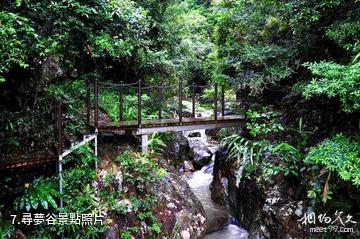 長泰十里藍山-尋夢谷照片