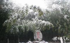 北京紅螺寺旅遊攻略之御竹林