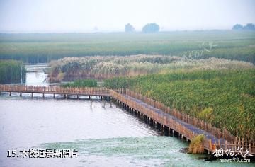 大慶鶴鳴湖濕地溫泉風景區-木棧道照片