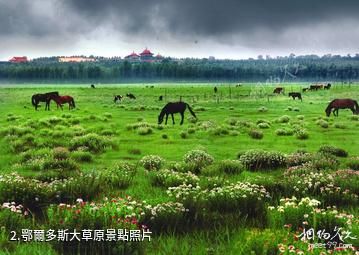 鄂爾多斯市綠洲賓館旅遊區-鄂爾多斯大草原照片