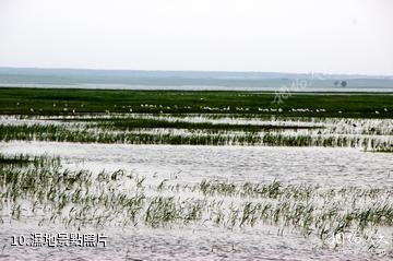 大慶阿木塔蒙古風情島-濕地照片